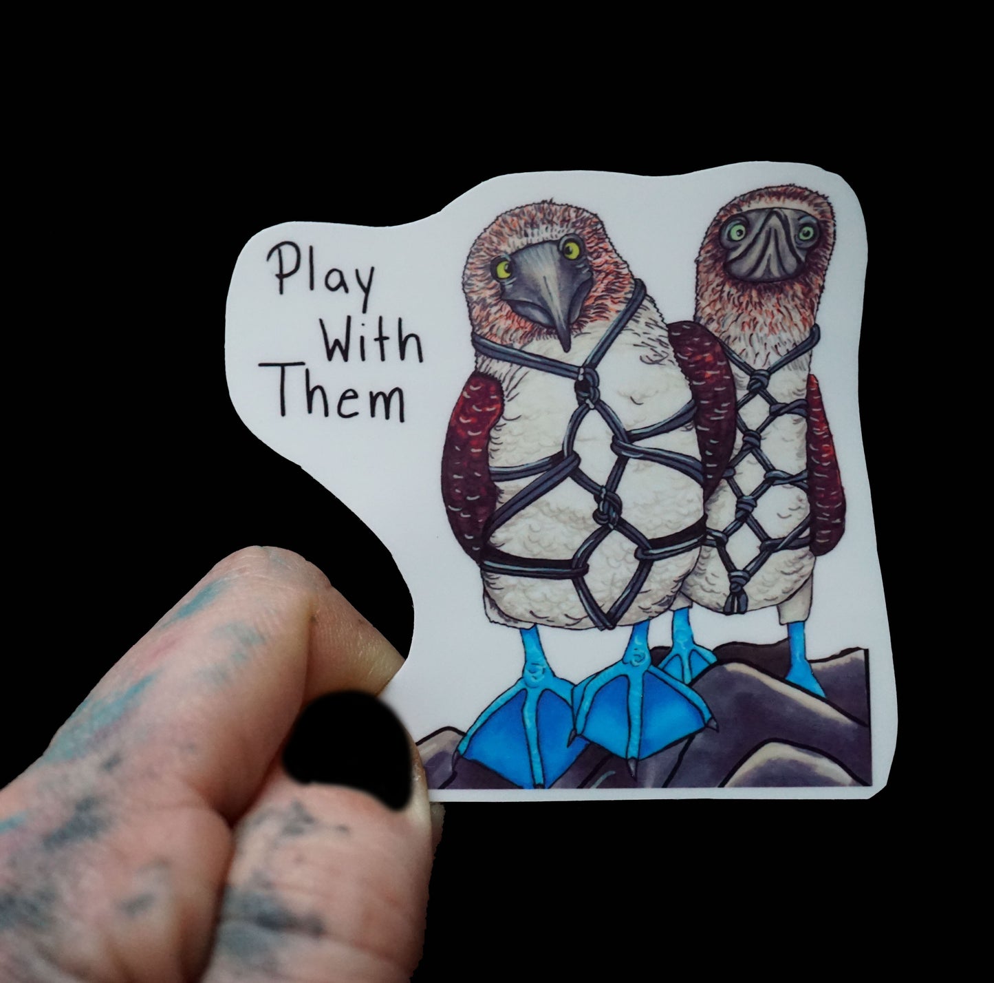 Shibari Blue footed boobie play with them sticker by Hannah Arthur