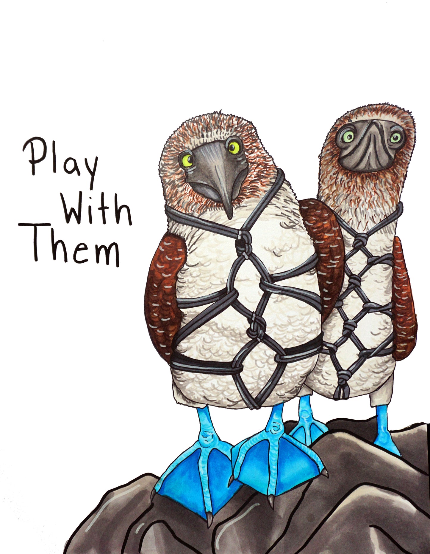 Shibari Play with Them Blue-Footed Boobies 11x14 art print by Hannah Arthur