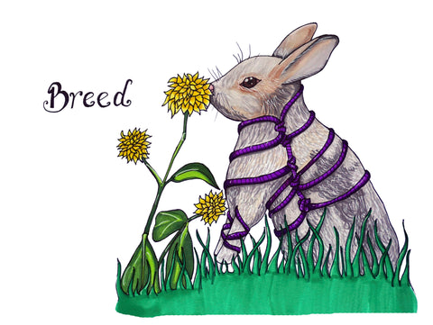 11x14 Shibari Breed Rabbit art print by Hannah Arthur
