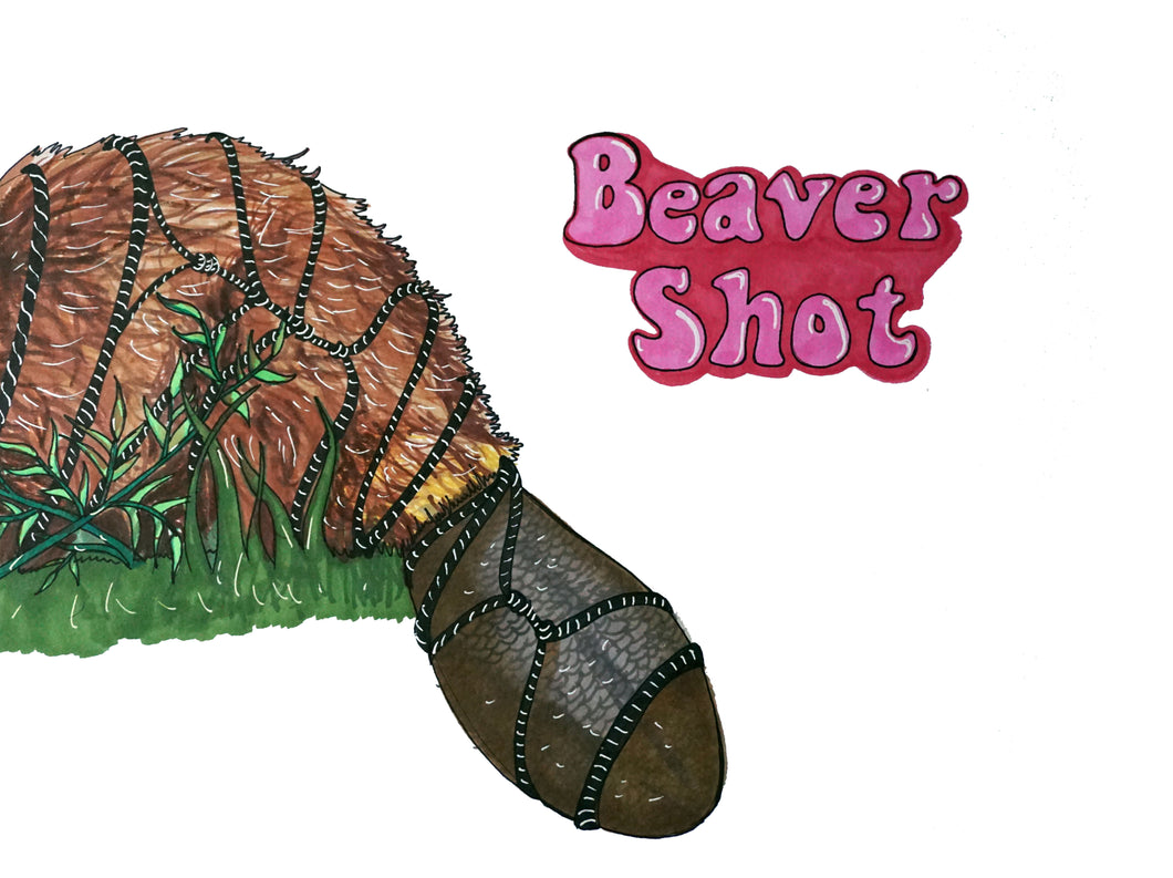 Beaver Shot Shibari Beaver art print by Hannah Arthur